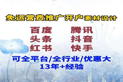SEM服务在本地化营销中的应用案例